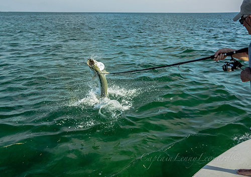 How to Fish for Tarpon in Key West: The Complete Guide