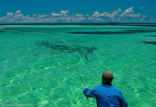 Flats Fishing Florida Keys